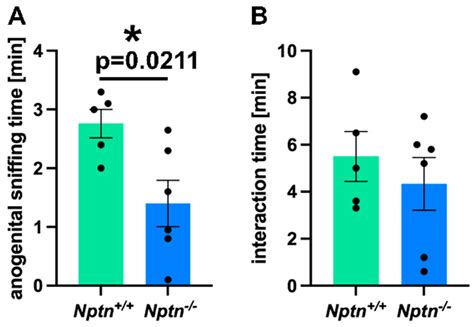 Neuroplastin Expression in Male Mice Is Essential for Fertility, Mating ...
