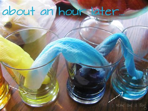 How to Create Water Using Toilet Paper 的图像结果