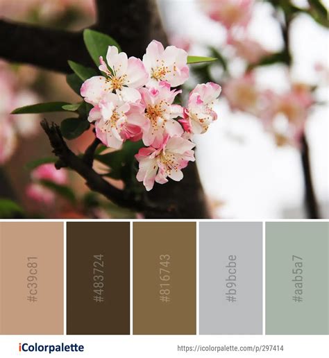 891 Cherry Blossom Color Palette ideas in 2024 | iColorpalette