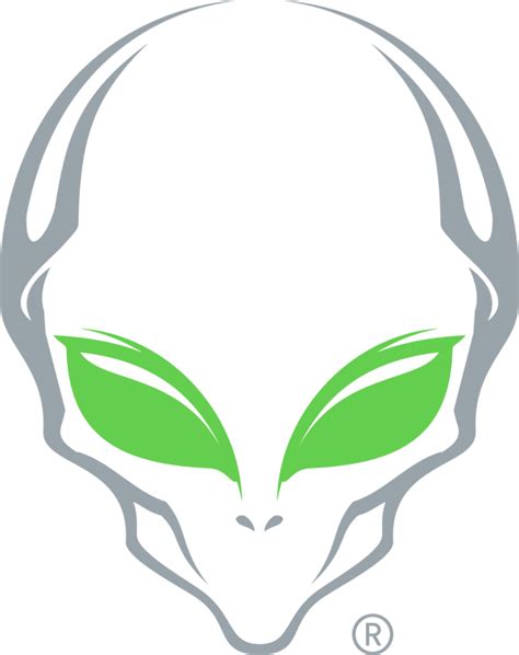 Image result for Alien Gear Holsters Holsters