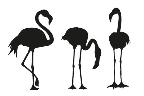 Hand drawn flamingo silhouette | Free Vector