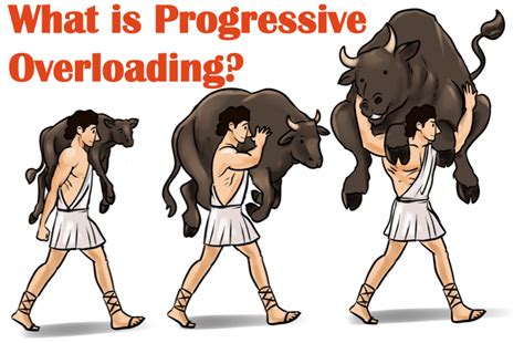 Image result for Principles of Progressive Overload