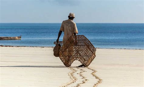 Make Your Trip to kenya Unique - Experience Discover the splendid ...