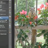 Paintshop-Pro Tutorials - learning - Pxleyes.com