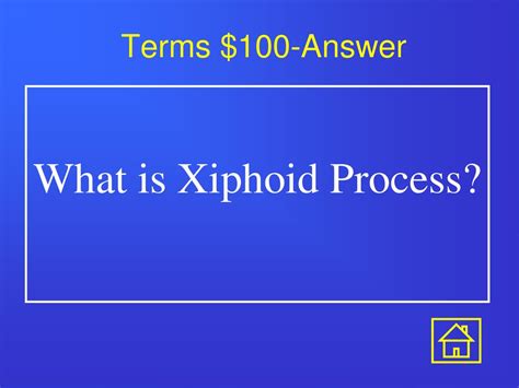 Xiphoid Process Problems 的图像结果