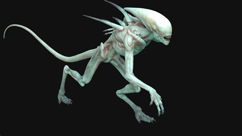 Image result for Alien Covenant Baby Neomorph