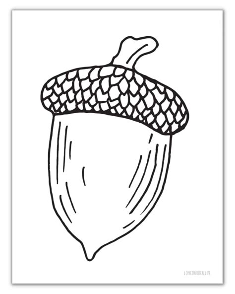 Acorn Printable - Free coloring pages to print