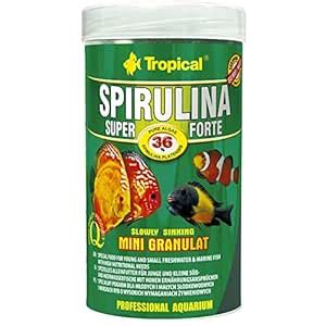 Tropical Super Spirulina Forte Mini Granules Slow Sinking for All ...