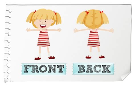 Image result for Front, Back 