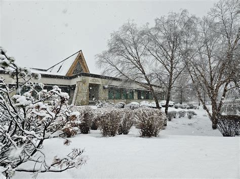 Image result for Libby Library App