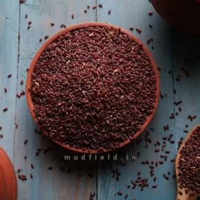 Recent Viewed Products