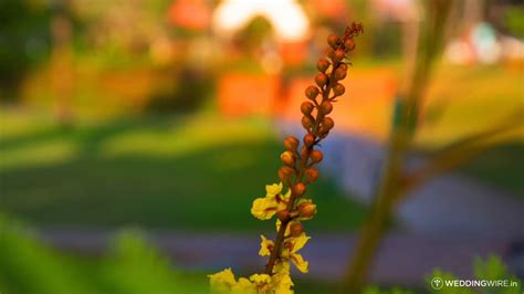 Videos from Caravela Beach Resort