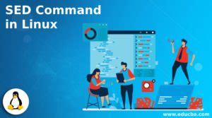 Image result for Sed Command Linux Examples Hindi