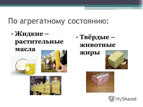 Презентация на тему: "Органические вещества клетки Углеводы и липиды ...