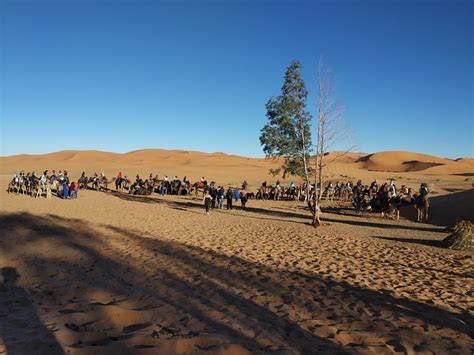 NOMADA VIAGENS TURISMO (2025) All You Need to Know BEFORE You Go (with ...