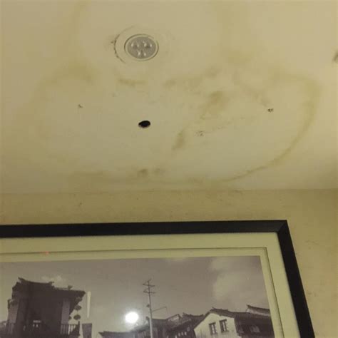 APPLE HOTEL (Beijing) - Hotel Reviews, Photos, Rate Comparison ...