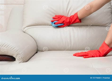Cleaning leather sofa stock photo. Image of leather, cleaning - 72775660