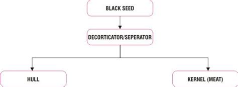 Bajaj CEC Decorticator Manufacturer, Supplier from Nagpur