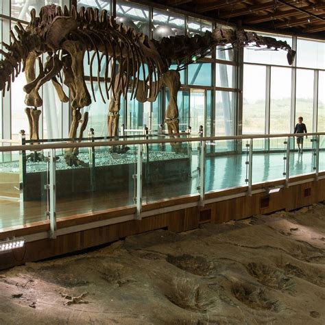 HAENAM DINOSAUR MUSEUM (2026) All You Need to Know BEFORE You Go (with ...