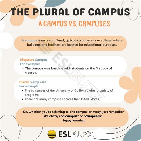 Plural of Campus: How to Use It Correctly in English Grammar - ESLBUZZ