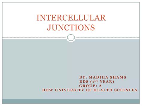 Rezultat imagine pentru Intercellular Junctions