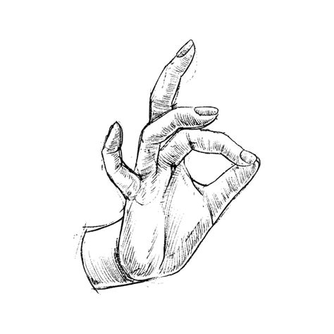 Hand sketch Images - Free Download on Freepik