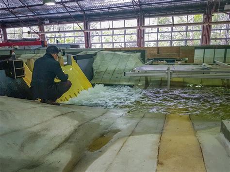 Building Model Dams 的图像结果