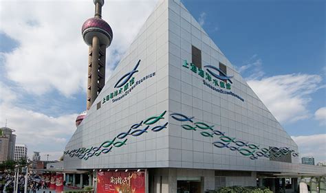 上海上海海洋水族馆 | 上海上海海洋水族馆门票价格、开放时间和网上预订_上海旅游景点