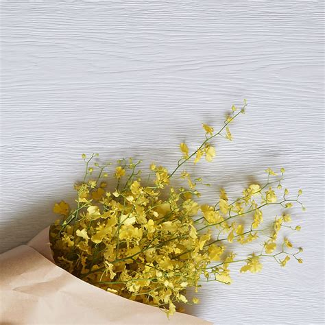 Perfect Floor Paint | ArchiPro NZ