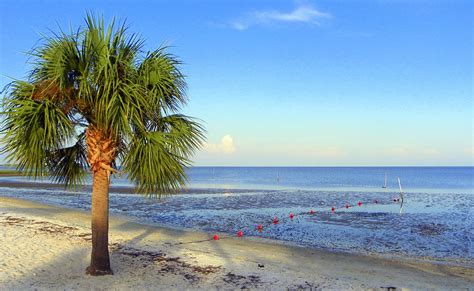 Cedar Key Beach Low Tide Photograph by Sheri McLeroy - Fine Art America