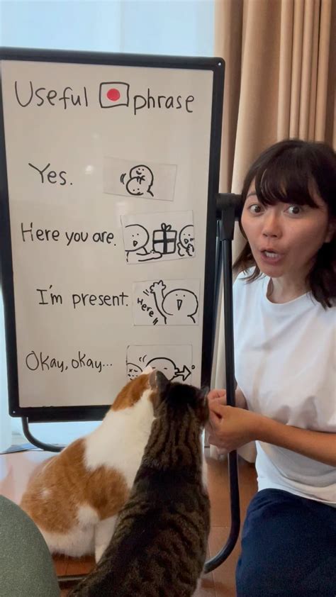 Yuu Otsuka | Different ways to say “hai” in Japanese 🙋🏻‍♀️ # ...