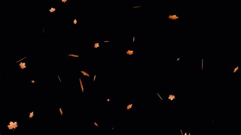 Image result for Fall Background Video Loop