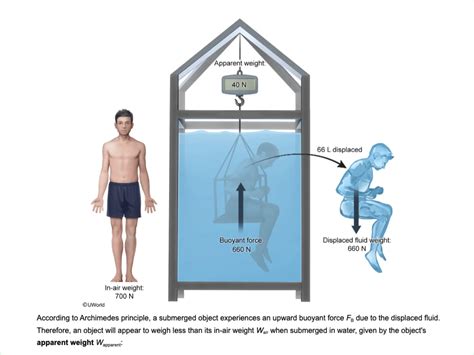 MCAT Practice Questions | UWorld MCAT Question Bank (QBank)