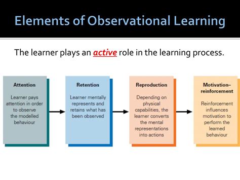 Image result for Observational Learning Examples
