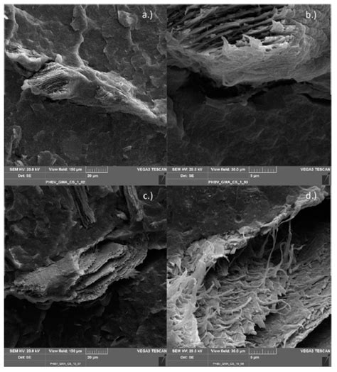 Compatibility of Chitosan in Polymer Blends by Chemical Modification of ...
