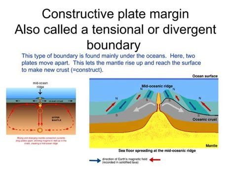 Conservative Plate Boundary 的图像结果