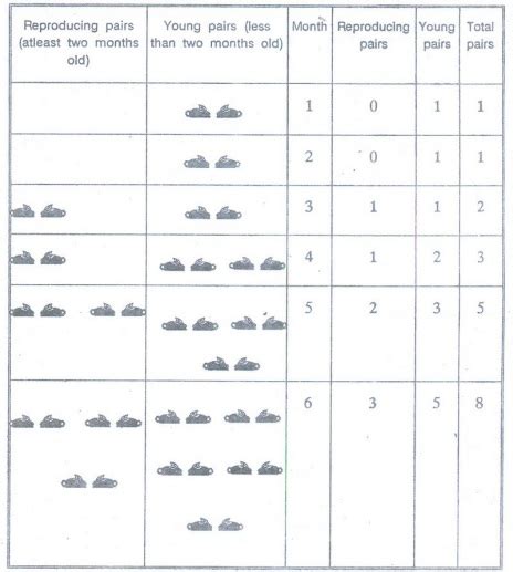 Recurrence Relations in Python 的图像结果