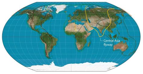 Wetlands Overview 2020: Judiciary is active, but remains ineffective ...