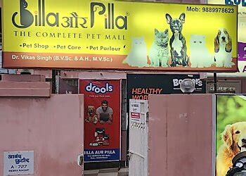 3 Best Pet Shops in Lucknow, UP - Expert Recommendations