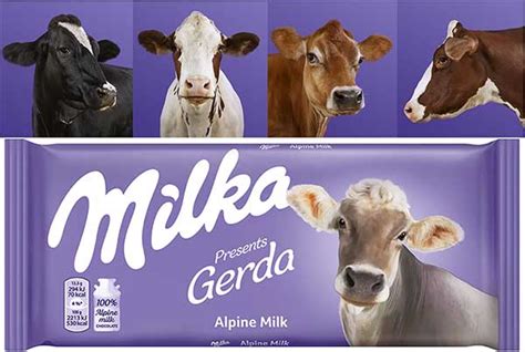 Ovo su prave Milka kravice koje čine čokoladu tako nježnom! - Lipadona