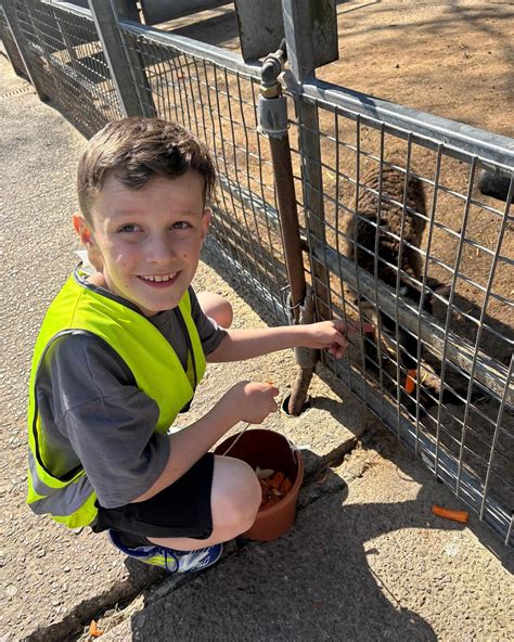 Mini SMILE Summer Holiday Club is back! - Daisy Inclusive UK