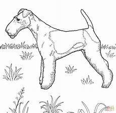 malvorlage hund russel kleurplaat russel malvorlage russel ausmalbild malvorlage hund russel kleurplaat russel malvorlage russel ausmalbild