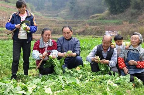 荆州家庭农场登记需具备五个条件 有四种市场主体-新闻中心-荆州新闻网