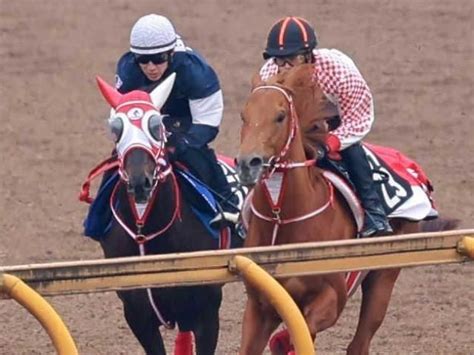 King Squall returns from eight-month layoff, eyes Classic dream in G2 ...