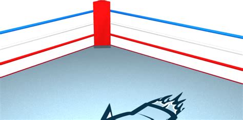 Boxing Transparent 的图像结果