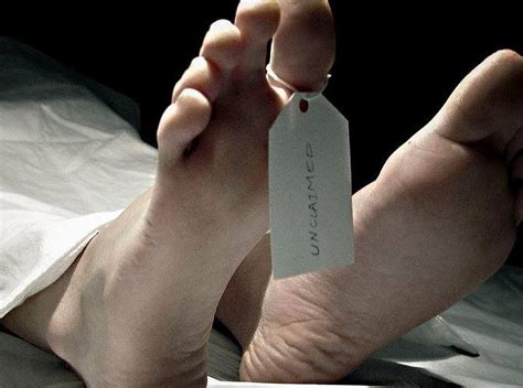 MCCAULEY'S HAUNTED WOODS (2025) All You Need to Know BEFORE You Go ...