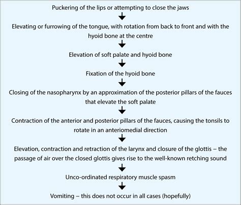 Gag Reflex Pathway