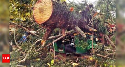 Administartion fails to give relief to girl who lost leg in tree fall ...