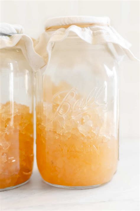 A Guide to Water Kefir Grains • Cultured Guru