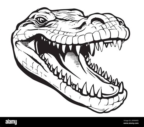 Crocodile head sketch hand drawn reptile Vector Stock Vector Image ...